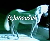 Obrazek