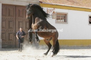Obrazek