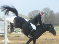 Obrazek